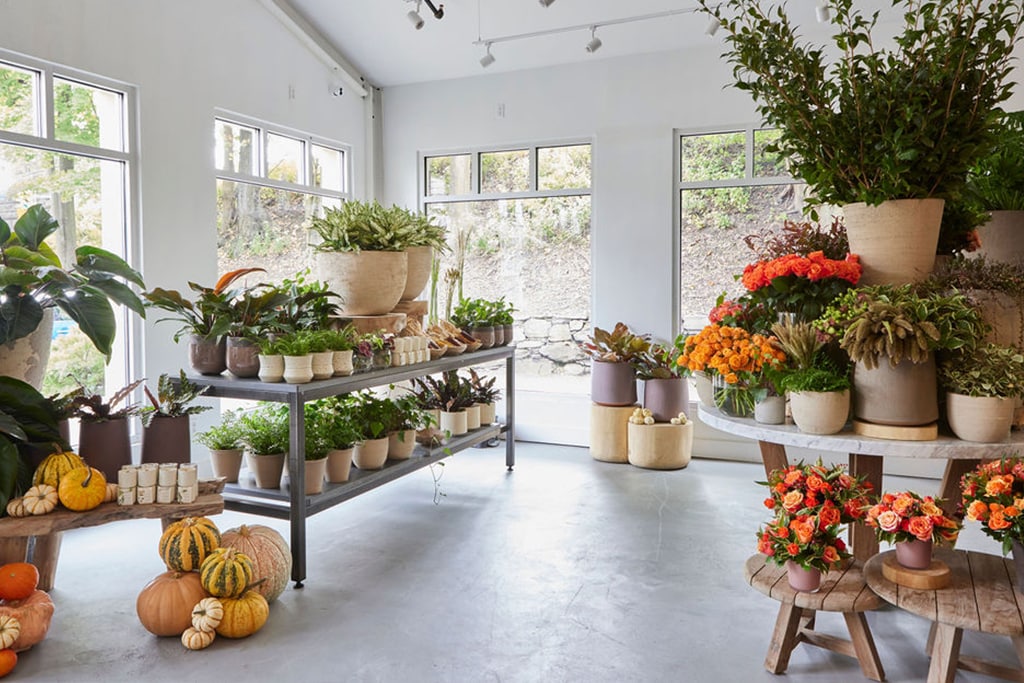 Greenwich, CT Floral Gallery Winston Flowers